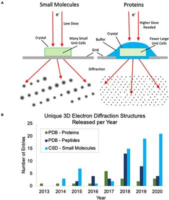 Frontiers | Small Molecule Microcrystal Electron Diffraction For The ...